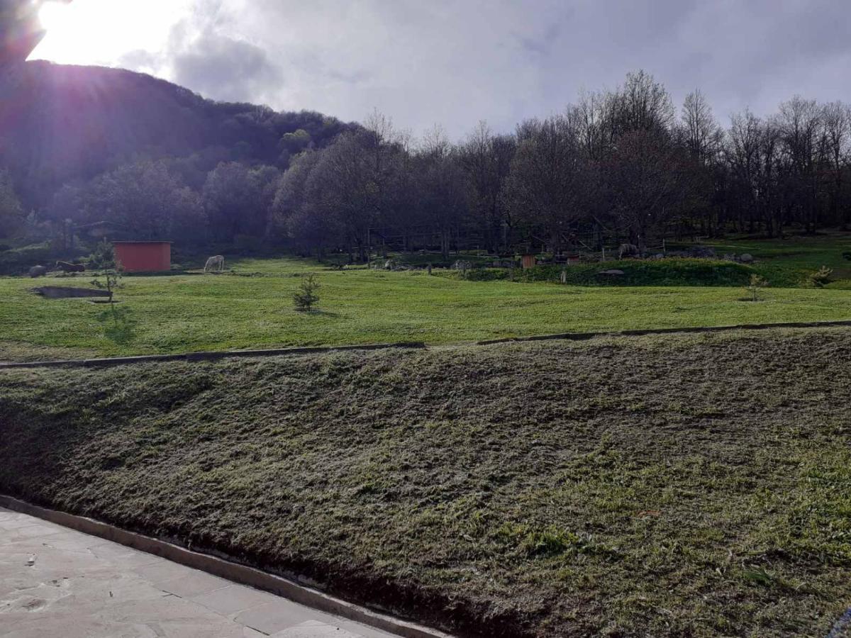 Ani Resort Artavaz 外观 照片