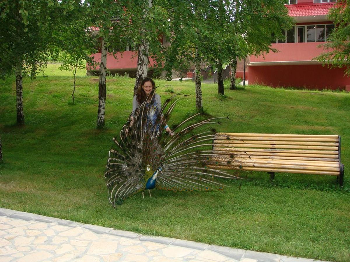 Ani Resort Artavaz 外观 照片